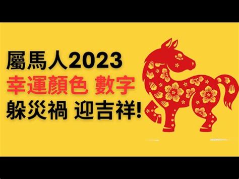 馬的幸運數字|【屬馬幸運數字】速速收藏！屬馬的專屬好運指南：幸運數字、顏。